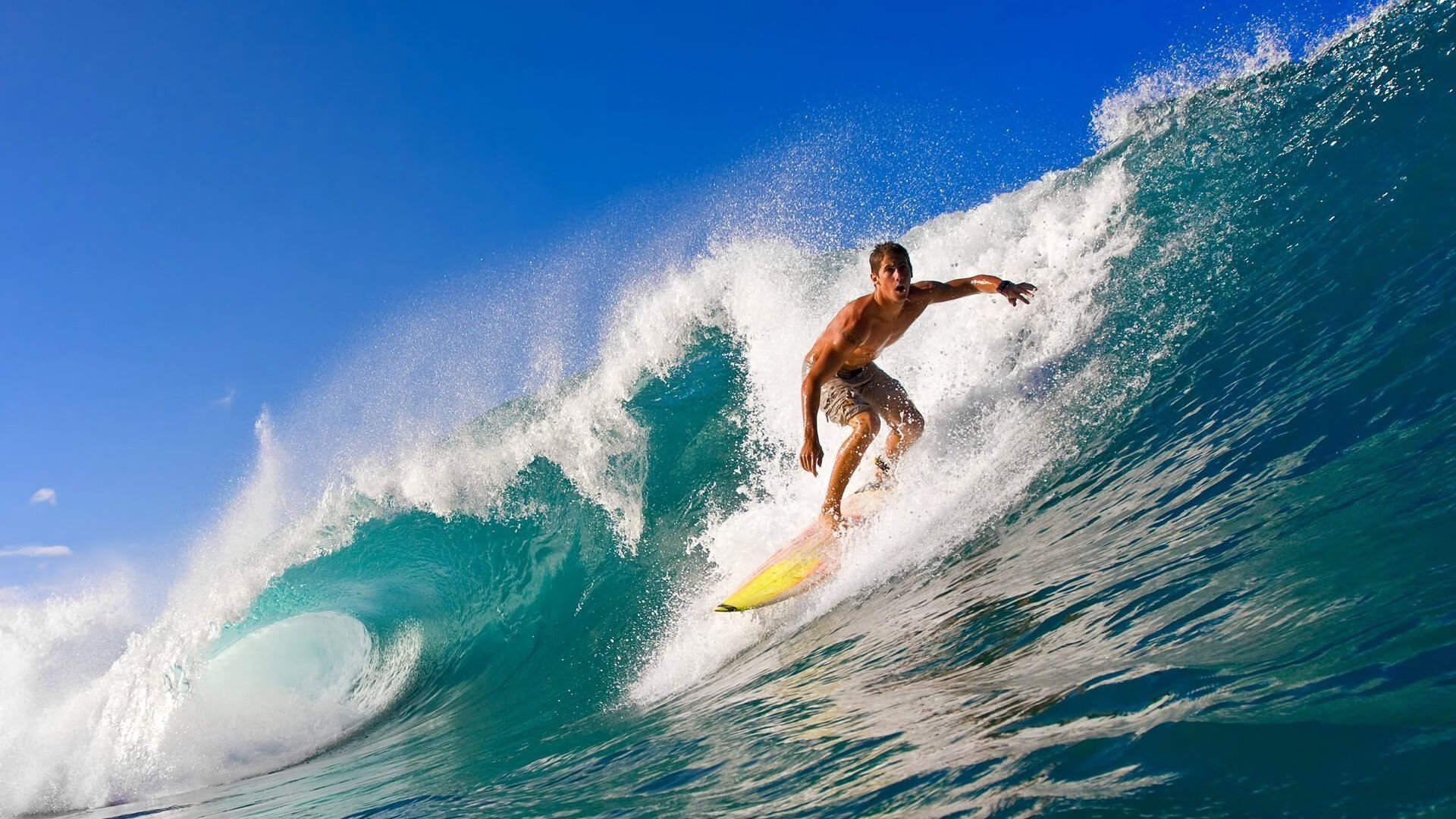 决赛MVP背后的团队协作密码，总决赛mvp奖杯叫什么